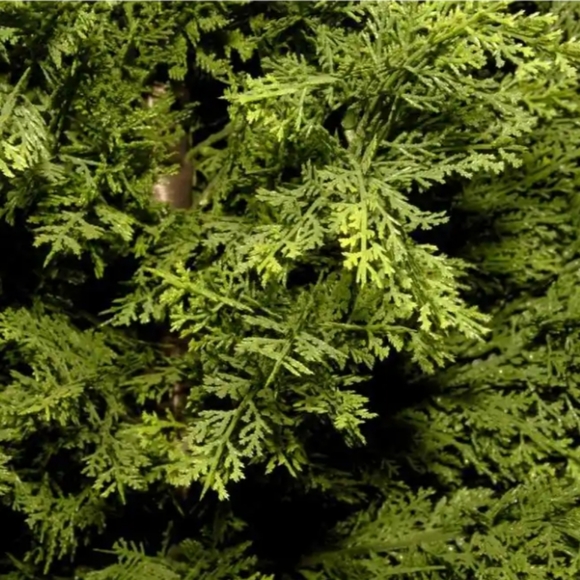 Accents 48 In Artificial Arborvitae Tree In Dark Green Poshmark